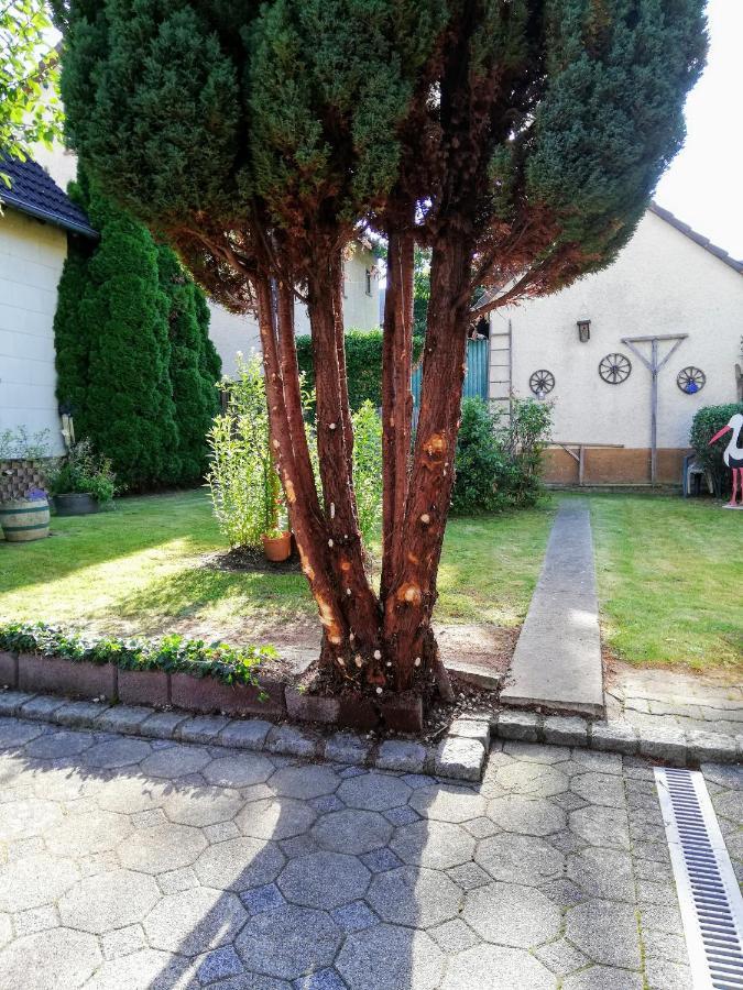 מוסבאך Ferienappartement Obrigheim מראה חיצוני תמונה